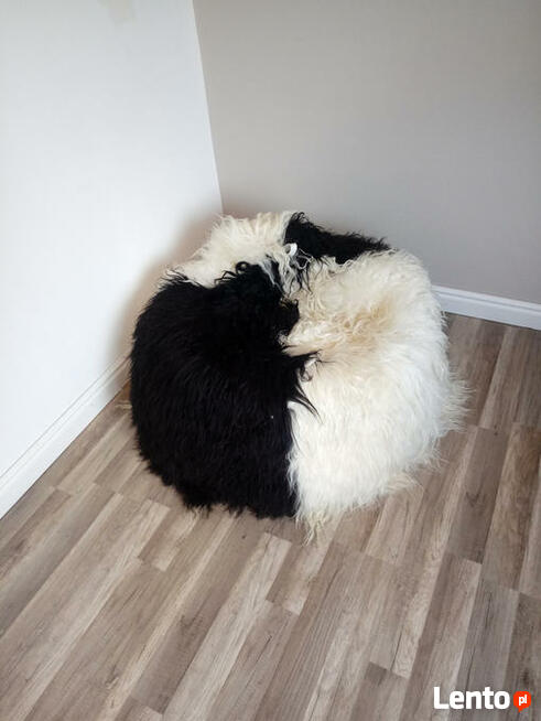 SKÓRA OWCZA-SKÓRY OWCZE Akcesoria i Dodatki