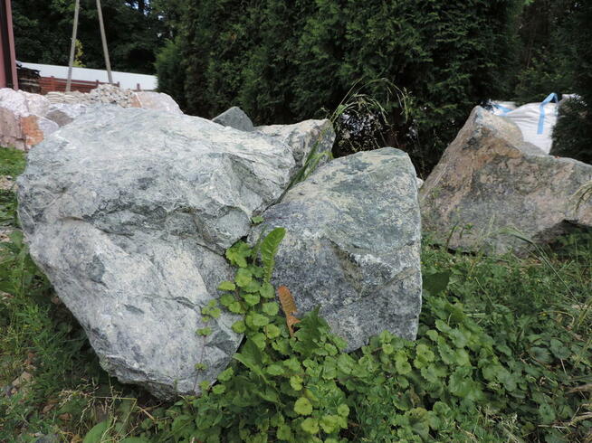 Kamień zielony duży Głaz zielony do ogrodu skała bryła