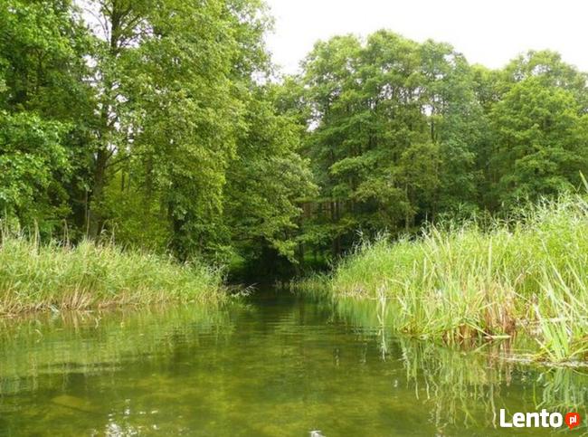 Kajaki Mazurskie - Spływy kajakowe Marózka Łyna Omulew