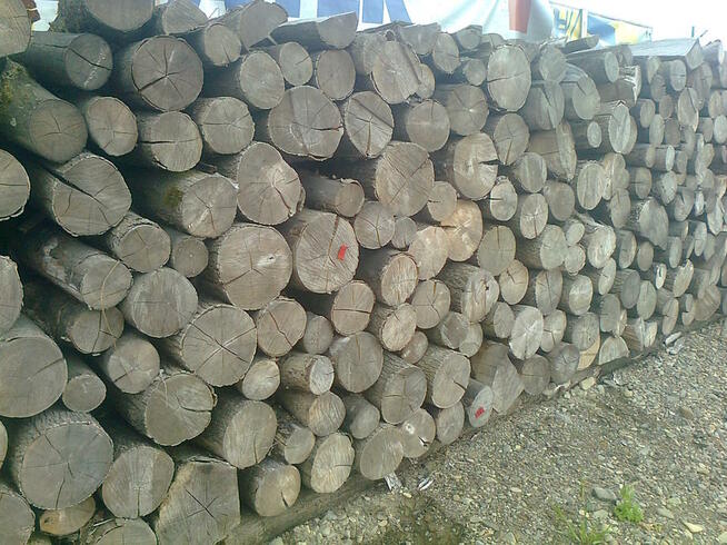 Drewno opałowe sezonowane