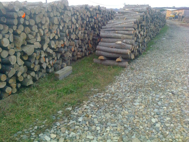 Drewno opałowe sezonowane
