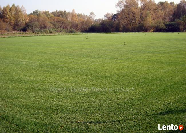 Trawa z rolki, trawa w rolkach Urzut