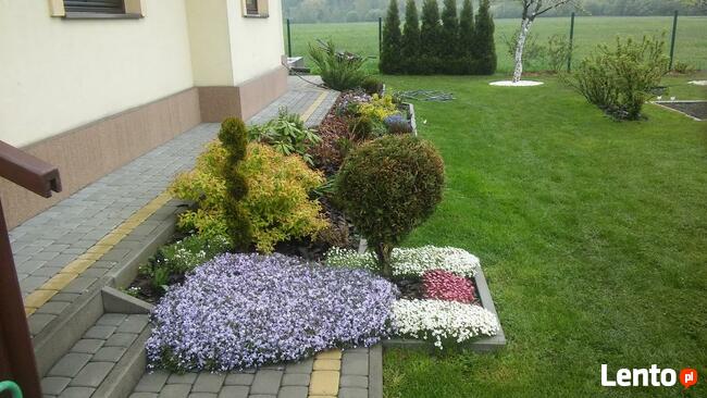 usługi ogrodnicze