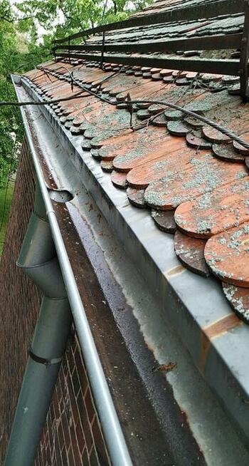 podnośnik koszowy, czyszczenie rynien, wyburzenia, wycinka