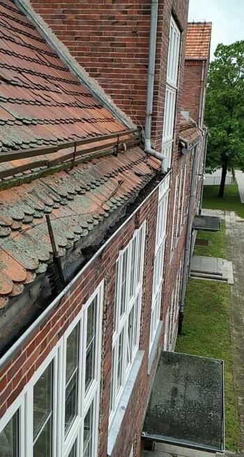 podnośnik koszowy, czyszczenie rynien, wyburzenia, wycinka