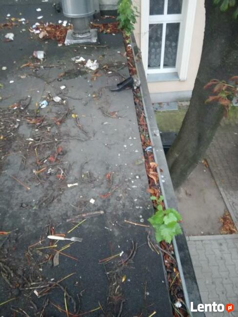 podnośnik koszowy, czyszczenie rynien, wyburzenia, wycinka