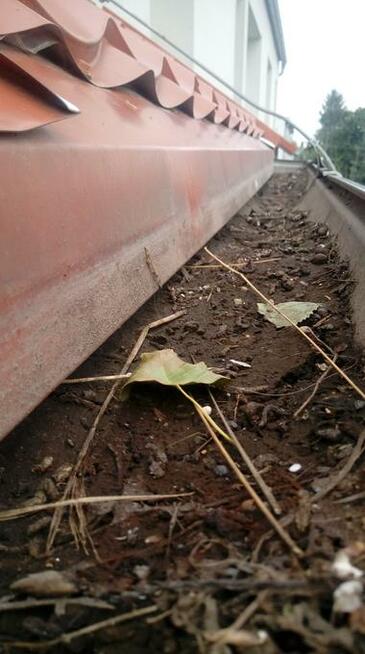 podnośnik koszowy, czyszczenie rynien, wyburzenia, wycinka