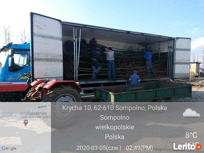 Bagażówka Słupsk Polska UE, Tanie PRZEPROWADZKI, Wynajem Aut