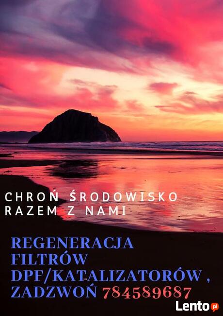 Regeneracja filtrów DPF/FAP/GPF/SCR i katalizatorów