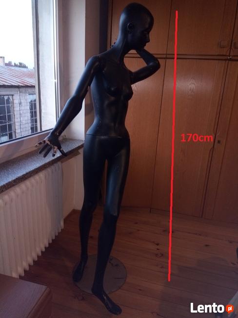 Manekin kobiety wystawowy wys. 170cm