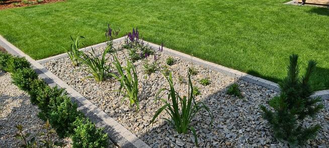 Zakładanie ogrodów