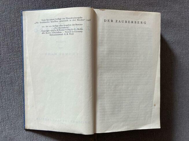 Thomas Mann Der Zauberberg