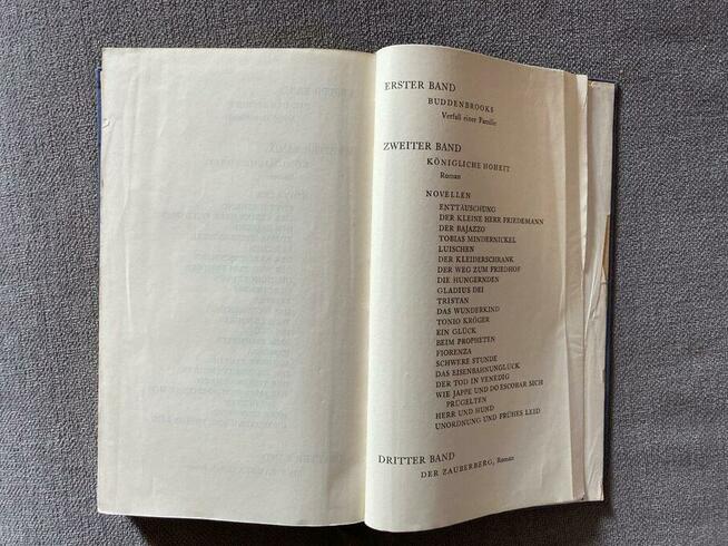 Thomas Mann Der Zauberberg