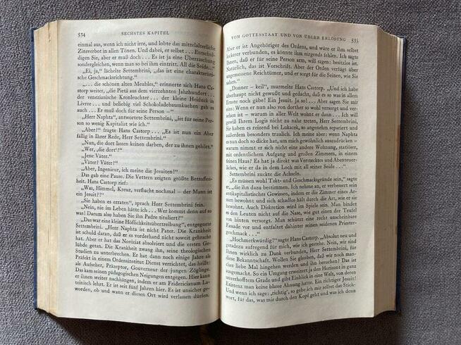 Thomas Mann Der Zauberberg