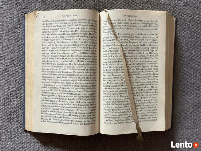 Thomas Mann Der Zauberberg