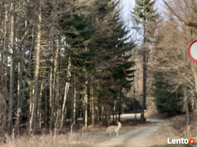 nocleg, pokoje, góry, beskidy, jezioro, ferie, kwatery,