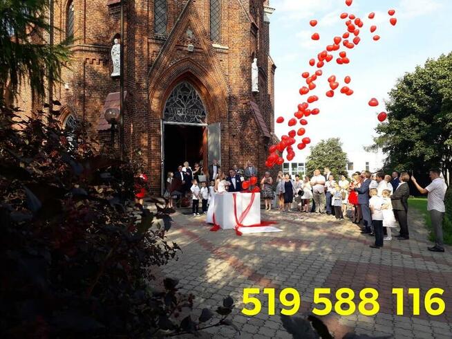 Weselna brama z balonów girlandy z balonów dekoracje z balon