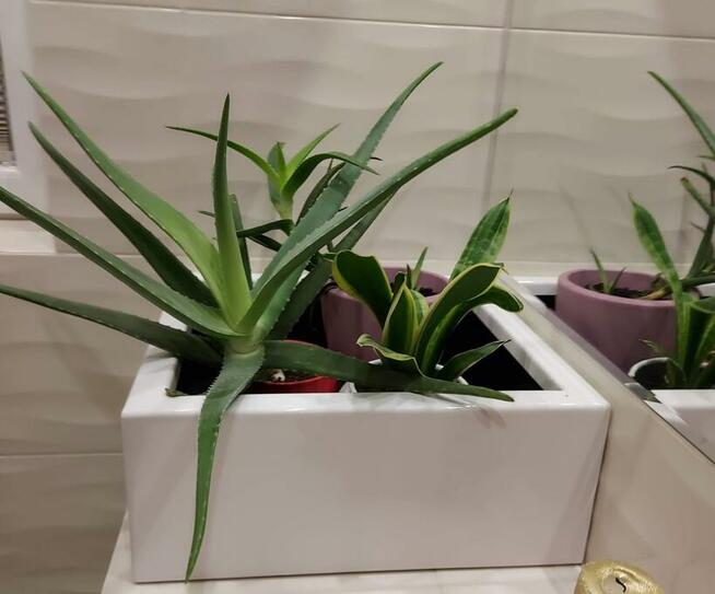 DONICAALUMINIOWA, NA WYMIAR, TARASOWA