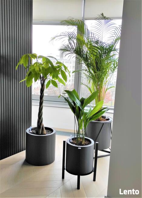 DONICE IMITACJA BETONU, TARASOWE, NA WYMIAR