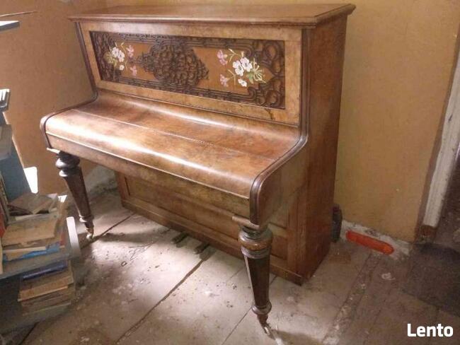 Pianino damskie z 1900r.mebel piękny, orzech kaukaski-LONDON