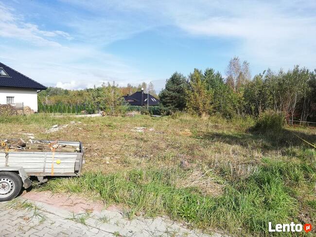 Karczowanie czyszczenie działek wycinka drzew koszenie traw