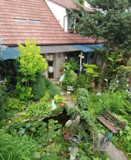 SPRZEDAM SKLEP OGRODNICZY