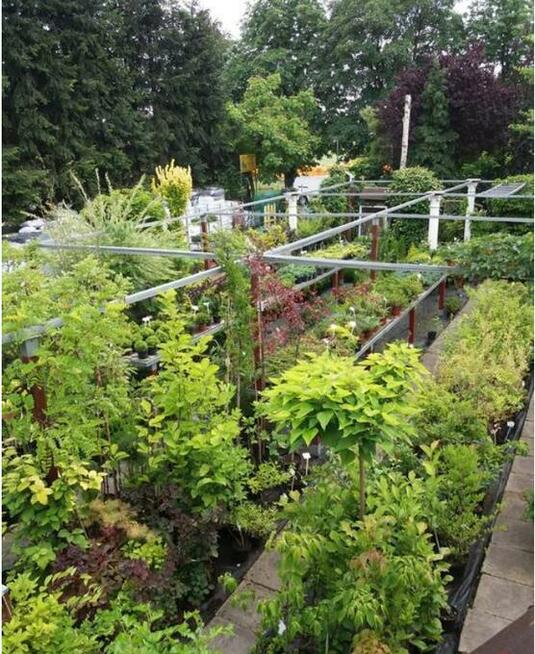 SPRZEDAM SKLEP OGRODNICZY