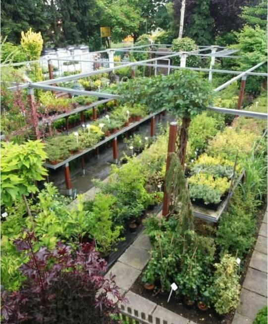 SPRZEDAM SKLEP OGRODNICZY