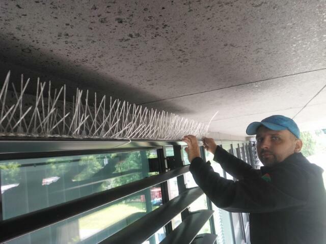 Usługi Alpinistyczne