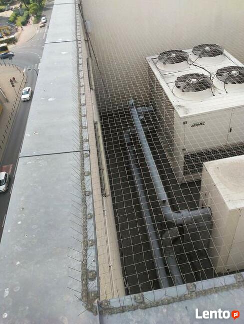 Usługi Alpinistyczne