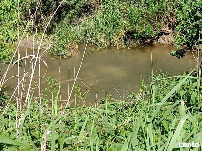 Wydzierżawię pole 30 arów Kielnarowa obok Rzeszowa