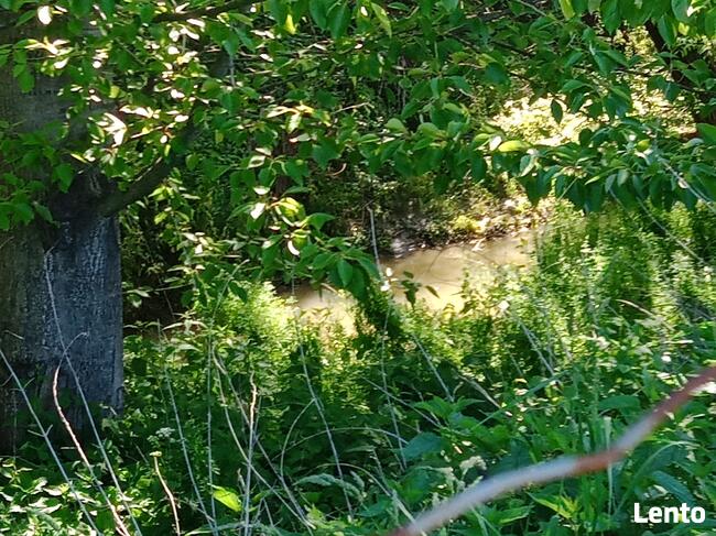 Wydzierżawię pole 30 arów Kielnarowa obok Rzeszowa