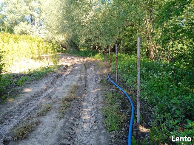 Wydzierżawię pole 30 arów Kielnarowa obok Rzeszowa