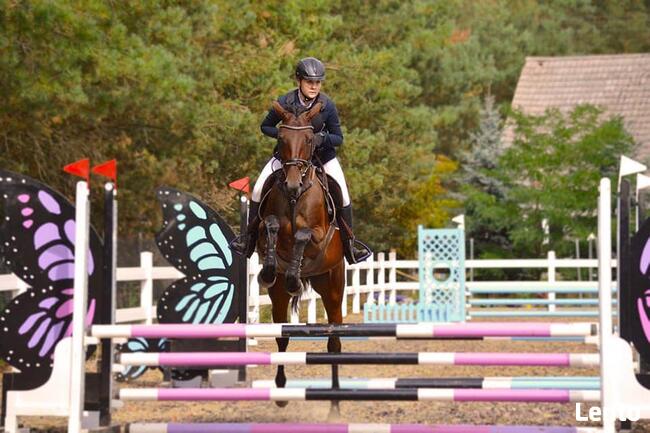 Obozy Jeździeckie ,obozy konne, wakacje w siodle 2026