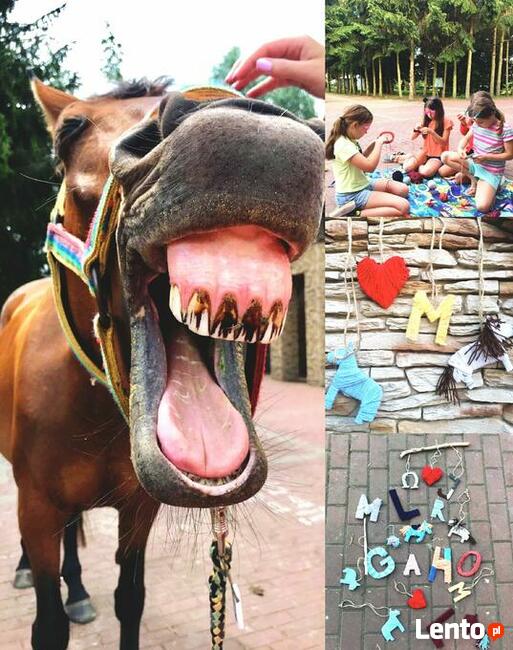 Obozy Jeździeckie ,obozy konne, wakacje w siodle, ferie w siod