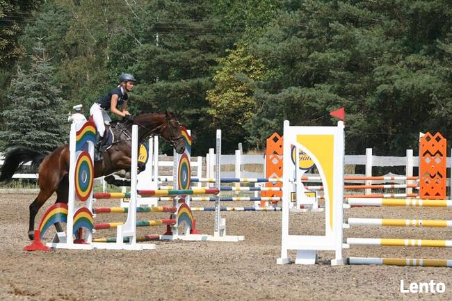Obozy Jeździeckie ,obozy konne, wakacje w siodle, ferie w siod