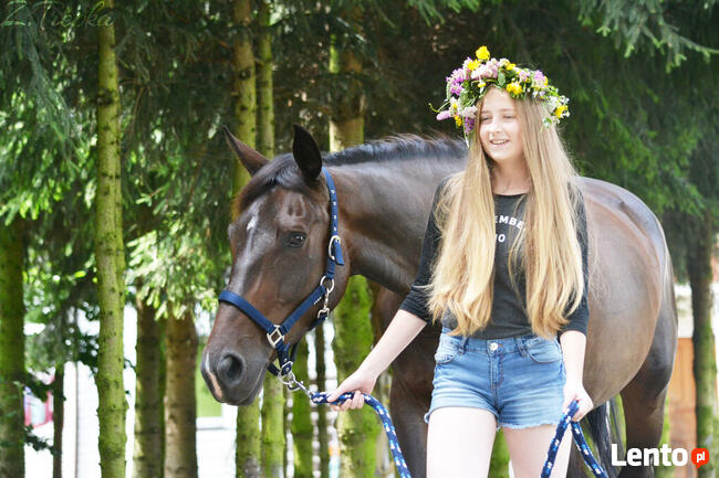 Obozy Jeździeckie ,obozy konne, wakacje w siodle 2026