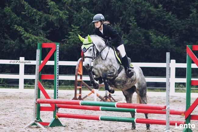 Obozy Jeździeckie ,obozy konne, wakacje w siodle 2026