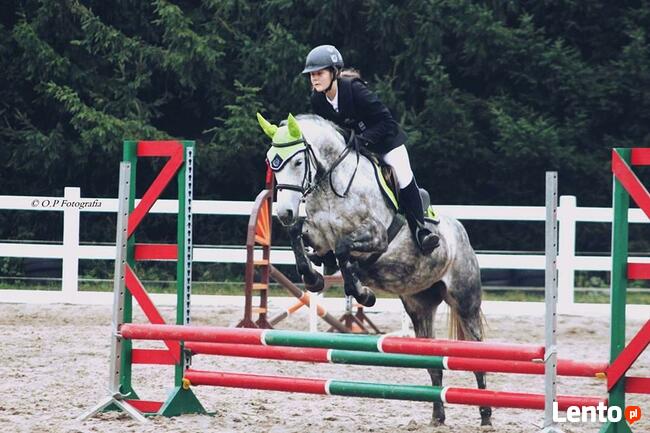 Obozy Jeździeckie ,obozy konne, wakacje w siodle, ferie w siod