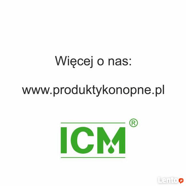 IKA T50 B | Homogenizator | OUTLET