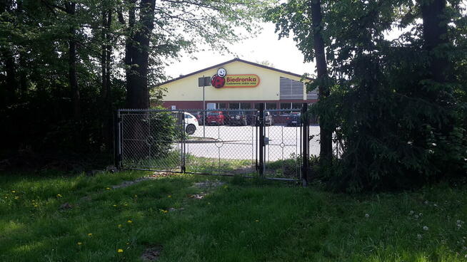 Działkę 10arów przy Biedronka Dynów sprzedaż/dzierżawa