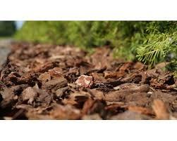 Kora ogrodowa ozdobna sortowana Nie jak z Marketu!