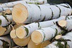 Drewno kominkowe, opałowe ,budowlane niskie ceny