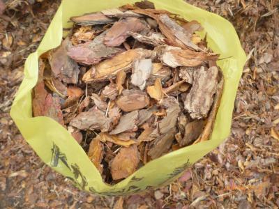 Kora ogrodowa ozdobna sortowana Nie jak z Marketu!