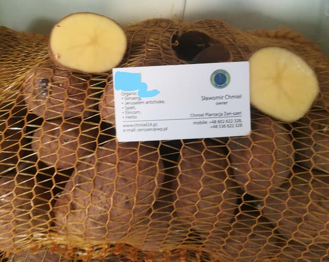 ziemniaki - eko z upraw bez nawozów i chemii