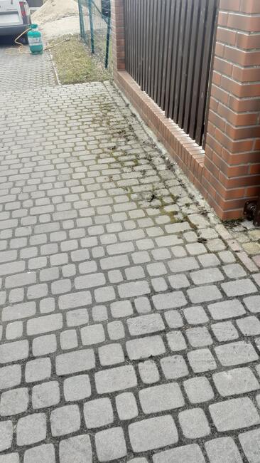 Zadbam o ogród, posesję