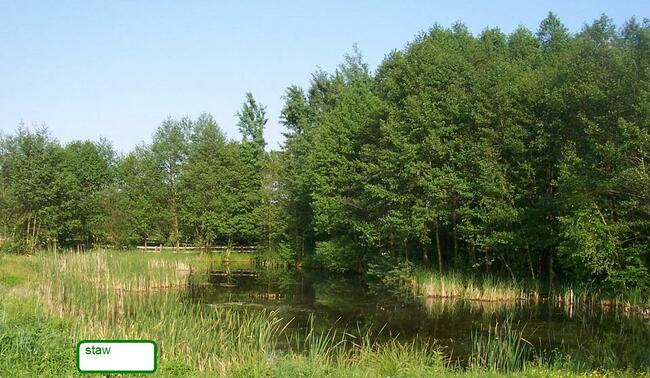 Rozwojowe ranczo - już gotowe na przyjęcie ponad 20 koni.
