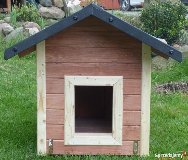 Buda dla psa