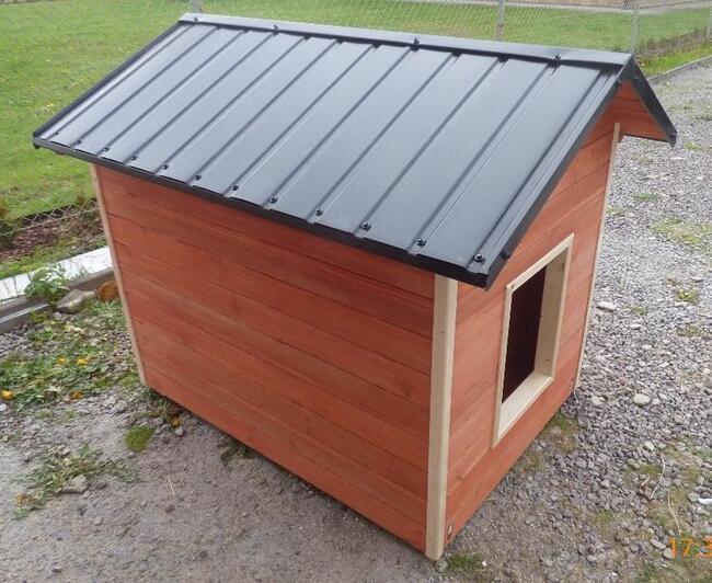 Domek, Buda dla psa , doghouse