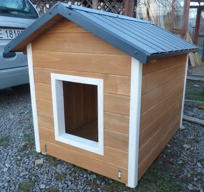 Buda dla psa , doghouse